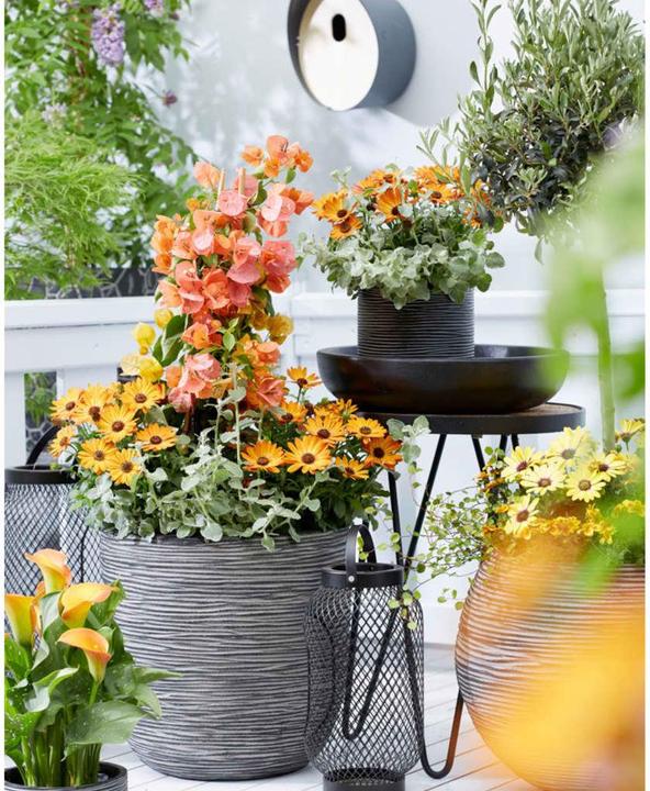 Produktbild Capi Blumentopf (35 x 35 x 34 cm)