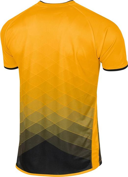 Image du produit Stanno Maillot Altius (176)