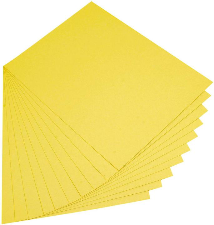 Immagine prodotto Folia Cartone argilla 180g/m², DIN A4 (180 g/m², 100x)