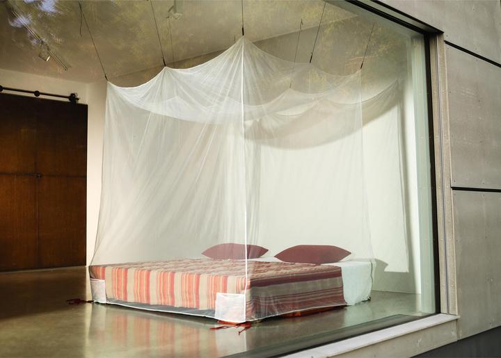 Actual product image Cocoon Mosquito Box Net Double