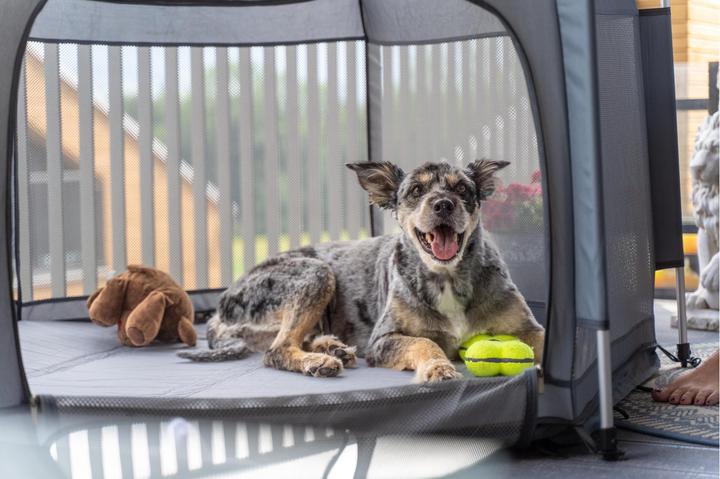 Produktbild Pety Laufstallmatte, Anthrazit, klein, Ø 97 cm (Hundezelt)