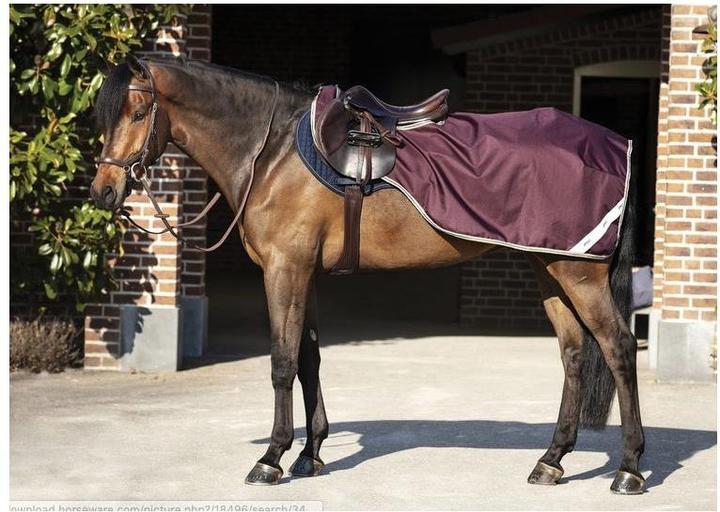Horseware Amigo Competition Sheet Riding Rugs