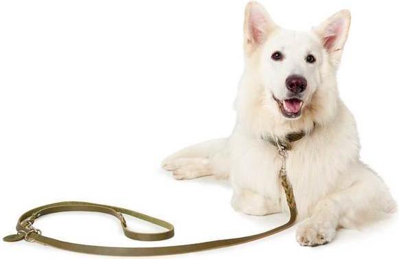 Actual product image Hunter Adjustable leash Solid Education (Dog, Dog sport)