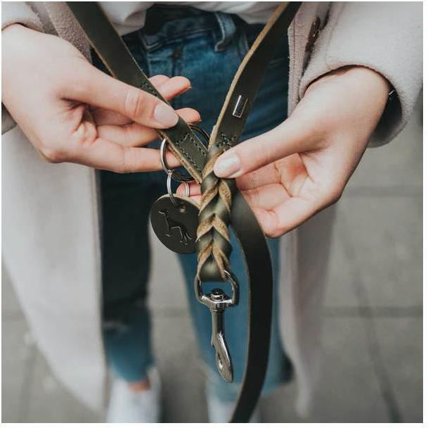 Actual product image Hunter Adjustable leash Solid Education (Dog, Dog sport)