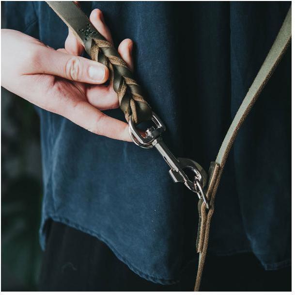 Actual product image Hunter Adjustable leash Solid Education (Dog, Dog sport)