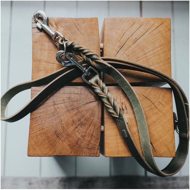 Actual product image Hunter Adjustable leash Solid Education (Dog, Dog sport)