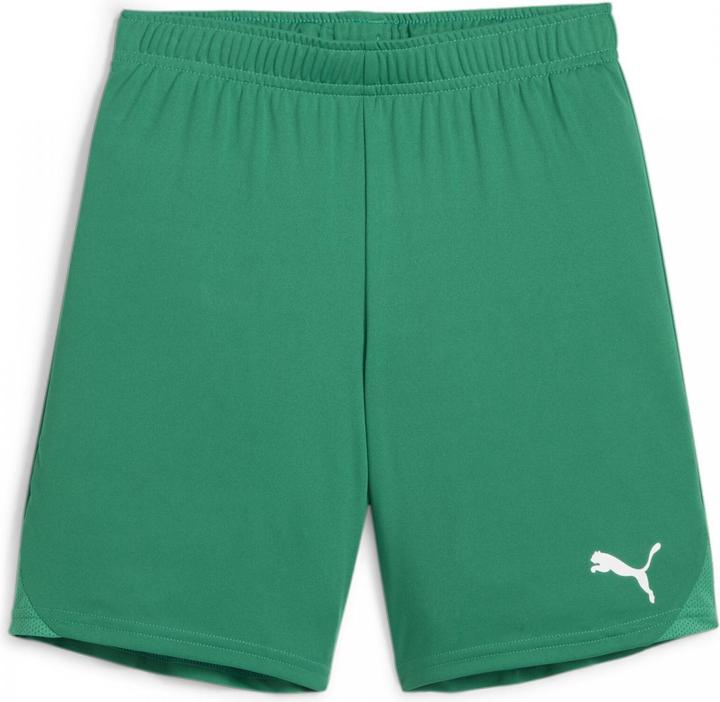 Produktbild Puma teamGOAL Shorts Jr (164)