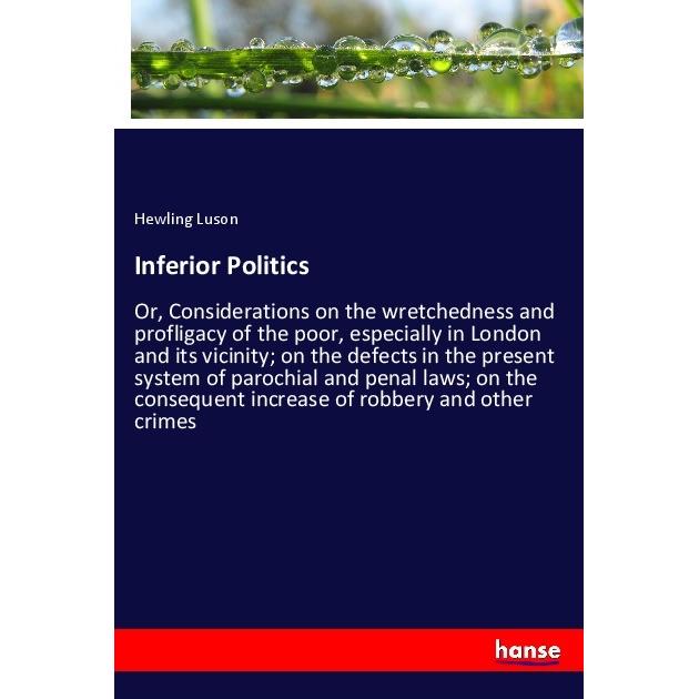 Inferior Politics, Fachbücher von Hewling Luson