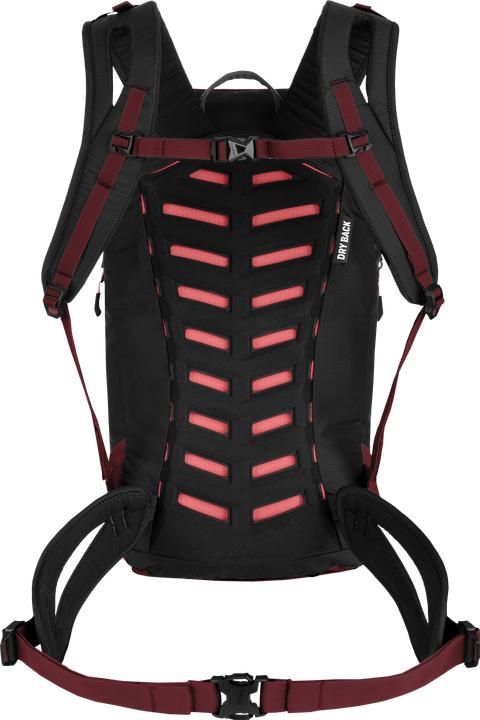 Actual product image Salewa Puez L Backpack Da (23 l)