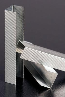 Immagine prodotto Rapid Standard (1000x)