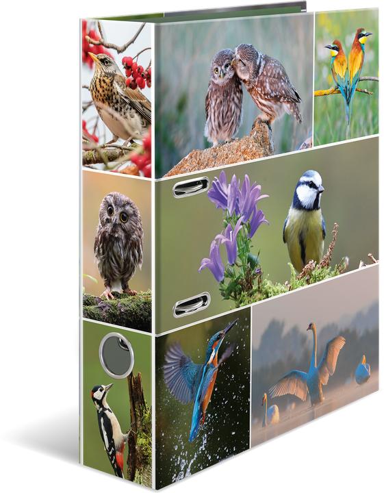 Animal motif, Home birds