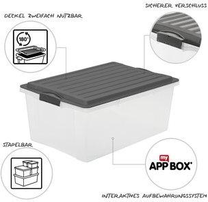 Immagine prodotto Rotho Compact (3x + 3x) (57 x 39,5 x 51 cm, 70 l)