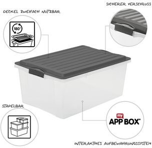 Actual product image Rotho Compact (3x + 3x) (57 x 39.5 x 51 cm, 70 l)