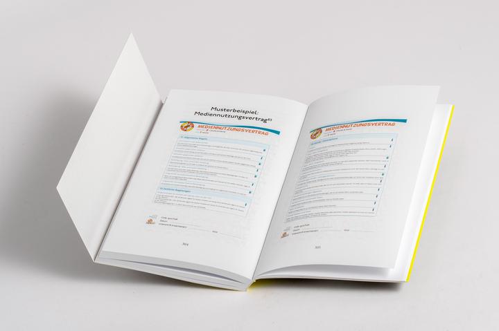 Actual product image Allein mit dem Handy: So schützen wir unsere Kinder (German, Daniel Wolff, 2024)