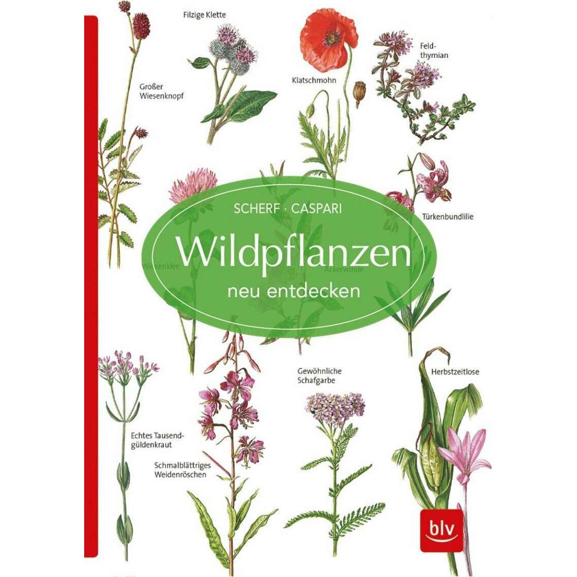 Wildpflanzen neu entdecken, Fachbücher von Claus Caspari