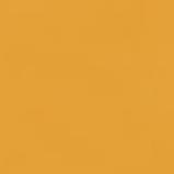 Immagine prodotto Talens Vernice opaca Ecoline (Ocra Scura, 30 ml)