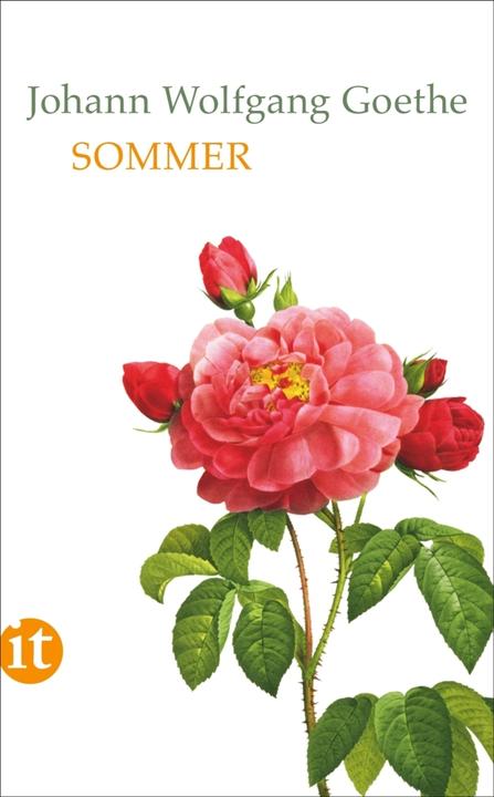 Produktbild Sommer (Deutsch, Johann Wolfgang Goethe, Mathias Mayer, 2018)