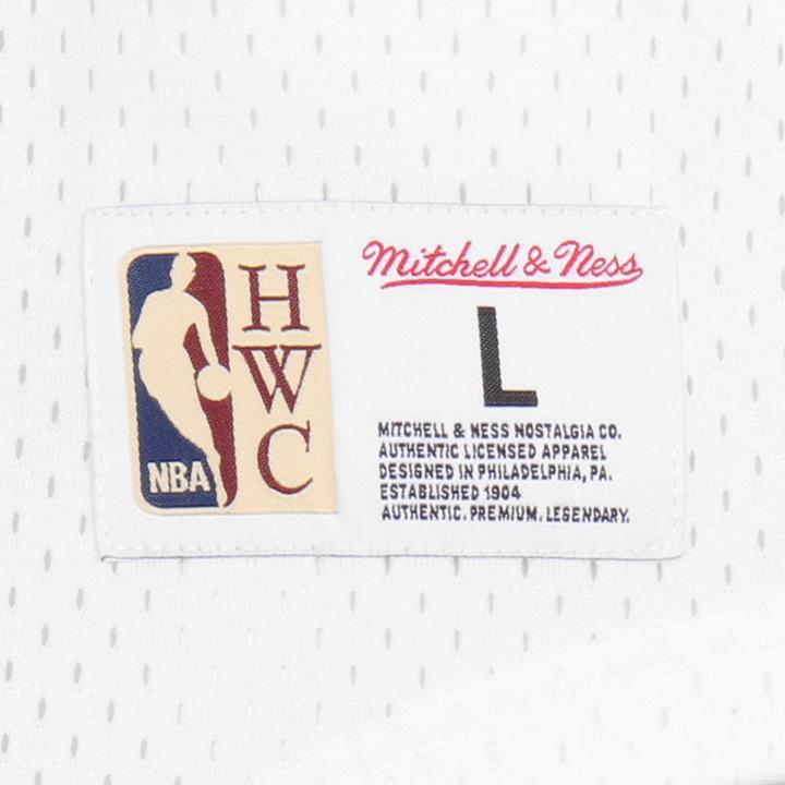 Actual product image Mitchell & Ness Jersey NBA Fashion Mesh V-Neck - LA Lakers (M)