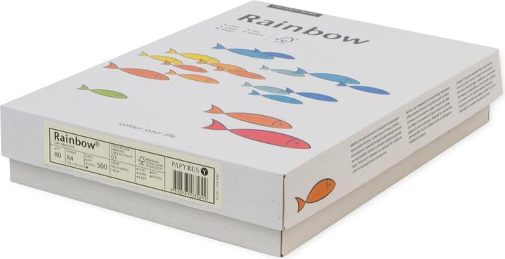 Immagine prodotto Rainbow Carta copiativa colorata al neon (80 g/m², 100 x, A4)