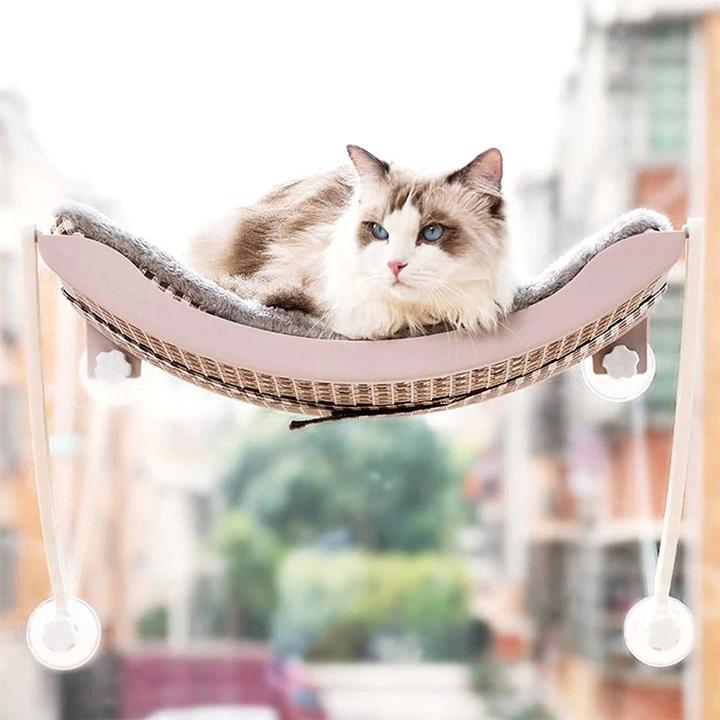 Hermex Letto per gatti amaca appesa Cesto per gatti Nido per gatti Divano per gatti grigio (Gatto)