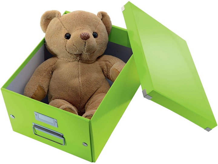 Image du produit Leitz Boîte de stockage WOW Click & Store (A4)