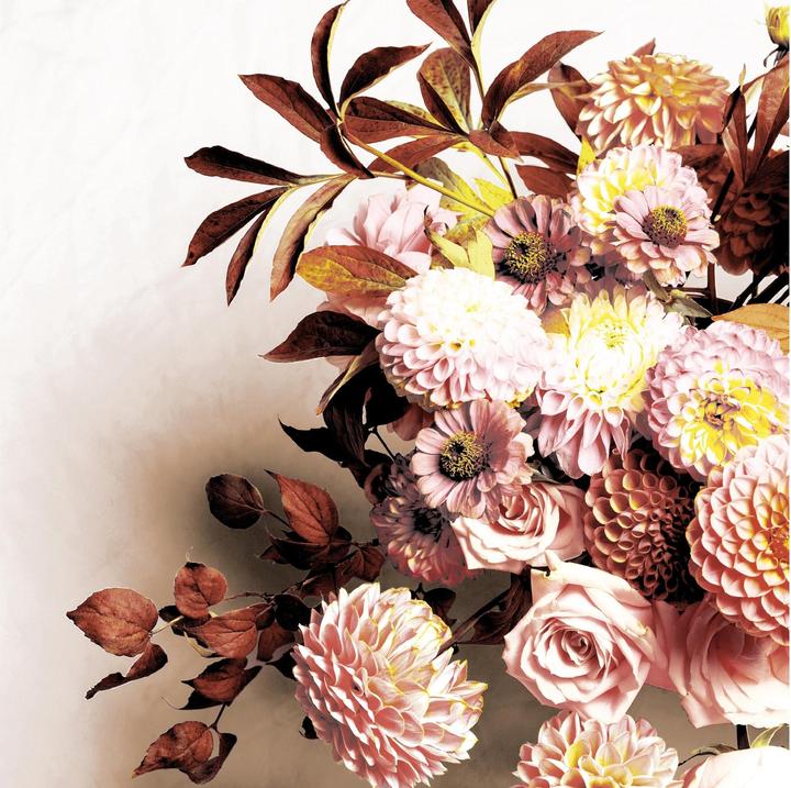 Rosa, Marrone, Crema, Beige
