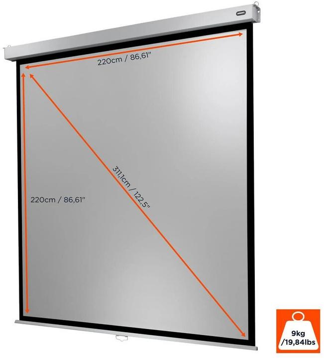 Actual product image Celexon Rollo Professional (122.44", 1:1)