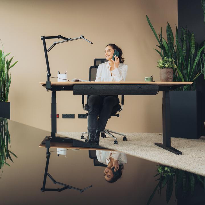 Immagine prodotto Yaasa Desk Expert (160 x 80 cm)
