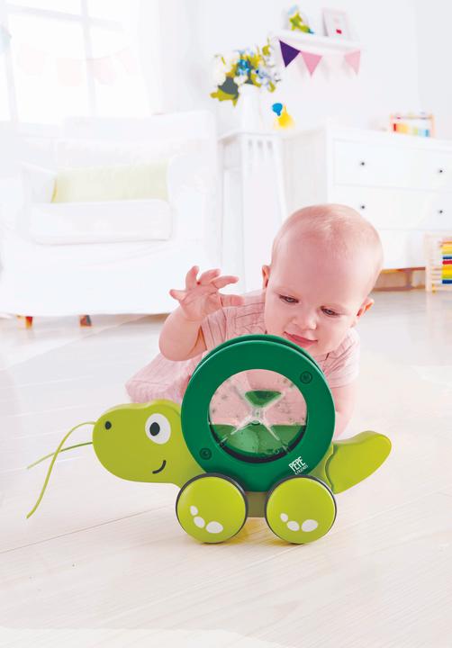 Produktbild Hape Nachziehschildkröte Tito
