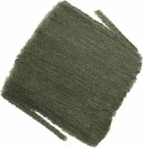 Actual product image Chanel Stylo Yeux Waterproof No 56 (56 Khaki Metal)