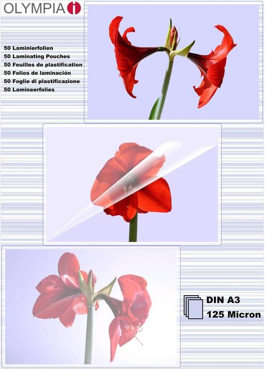 Olympia Laminierfolien (A3, 50 Stück, 125 µm)