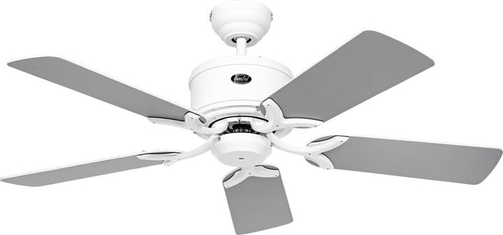 Grey / Silver, White