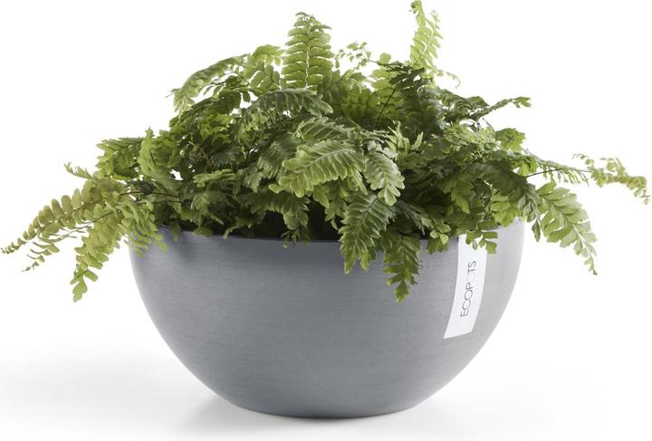 Actual product image Ecopots Brussels