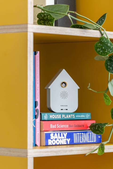 Actual product image Karlsson Sound Box Modern Cuckoo