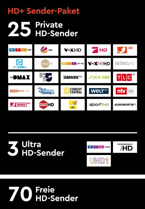 Immagine prodotto HD+ HD+Modulo m.6 abbonamento mensile (Nagravisione, Modulo CI)