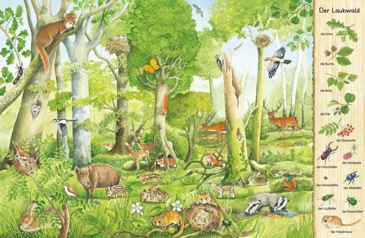 Immagine prodotto Mein erstes Wimmelbuch Im Wald (Tedesco, Christine Henkel, 2010)