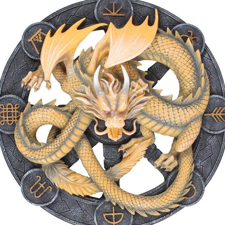 Image du produit Anne Stokes Plaquette de dragon en résine Imbolc