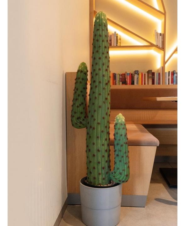 Immagine prodotto Europalms Cactus messicano, pianta artificiale, verde, 117cm (117 cm)