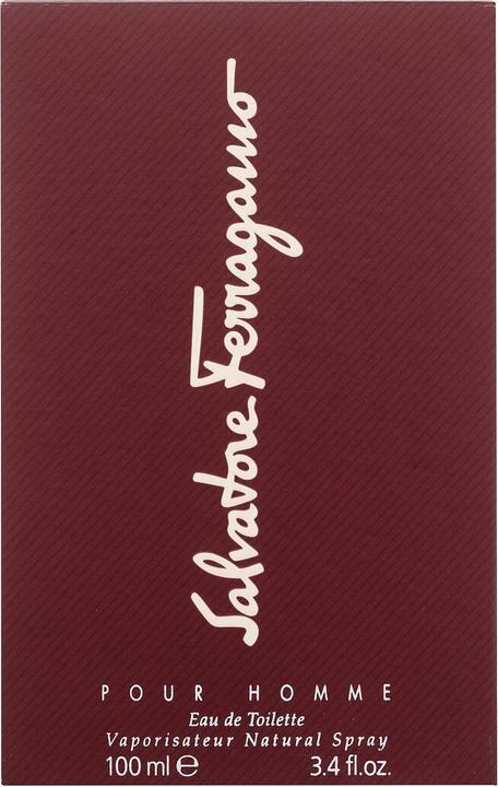 Image du produit Salvatore Ferragamo F (Eau de toilette, 100 ml)
