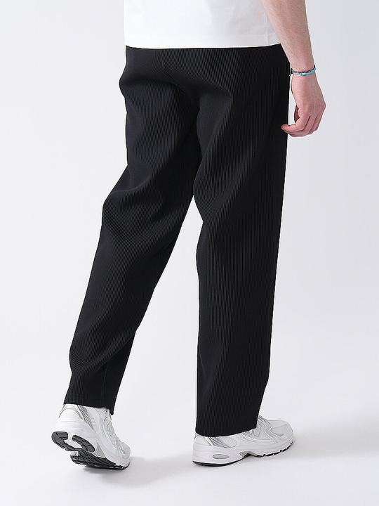 Actual product image Pegador Troy Plissee (L)
