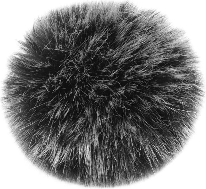 Actual product image DJI Radio microphone transmitter