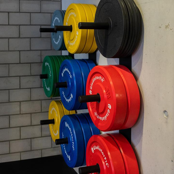 Actual product image Gladiatorfit Wall mount for weight plates