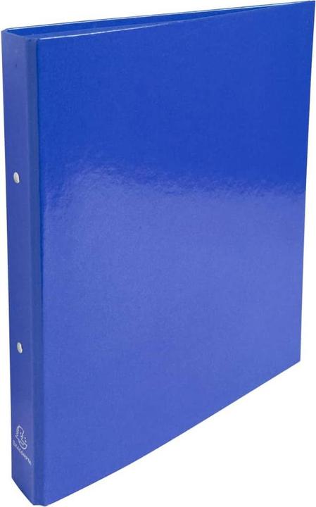 Actual product image Exacompta Wayna (A4, 40 mm, 10 Piece)