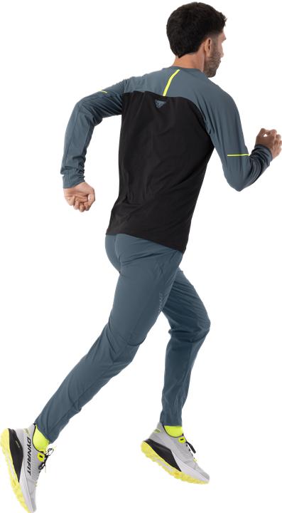 Actual product image Dynafit Alpine Pro Langarmshirt Herren (46, S)