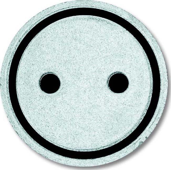 Produktbild Busch-Jaeger Abtastbares Symbol Steckdose 2CKA001714A0298