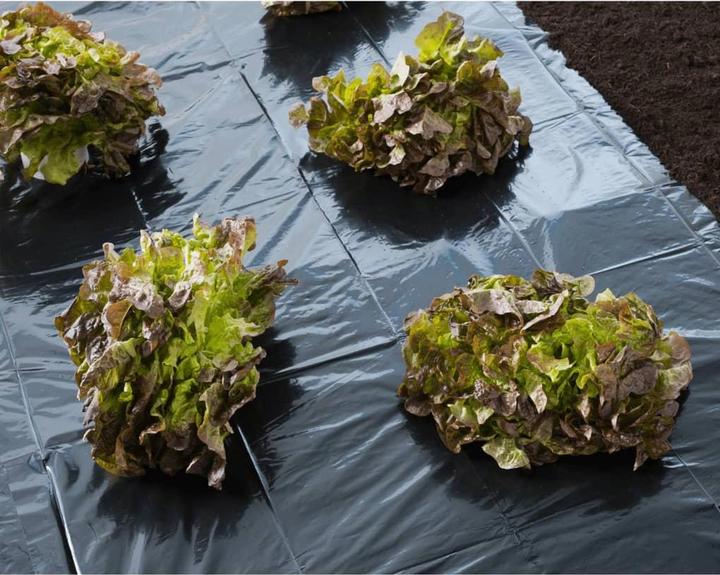 Produktbild Nature Abdeckfolie 3x4 m 150µ Schwarz