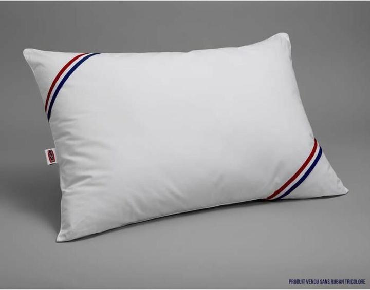 Productafbeelding Dodo Kissen 50 x 70 cm Anti-Staubmilben (50 x 70 cm)