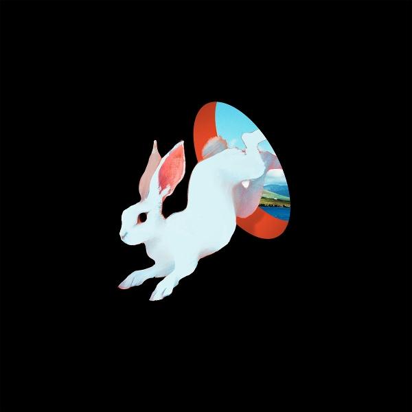 Image du produit ANIMAL HOSPITAL (Future Blue Vinyl) (Ganser)
