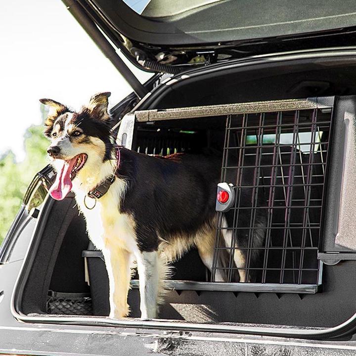 Immagine prodotto Ferplast Gabbia di trasporto (Cane, Traspirante)