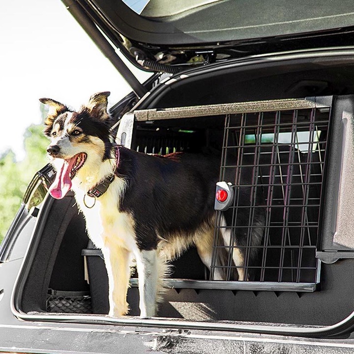 Actual product image Ferplast Cage de transport (Dog, Breathable)